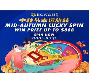 2021 Mid Autumn Mooncake Gift